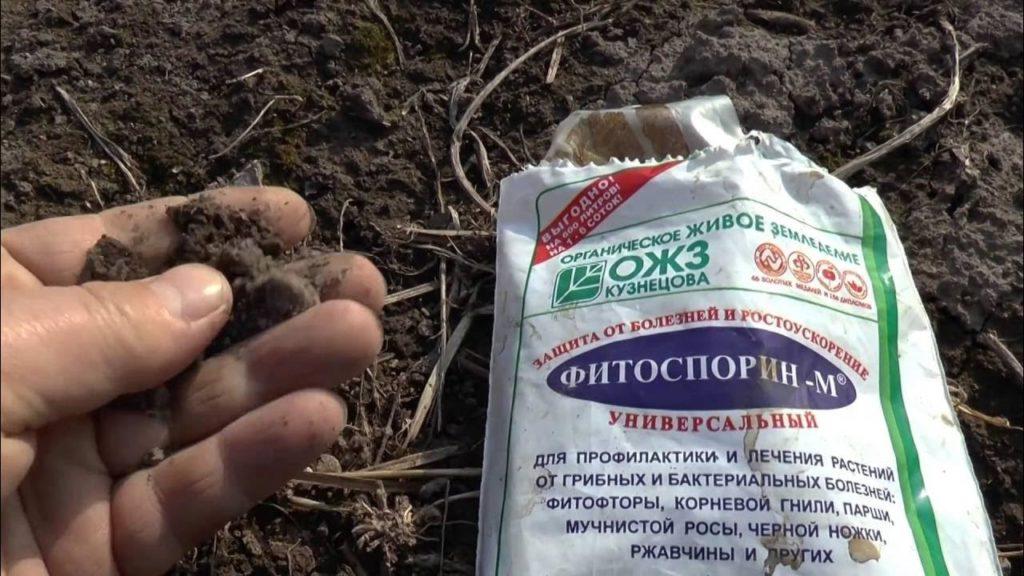 Фитоспорин для томатов